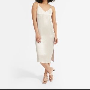 Everlane Party Slip Dress